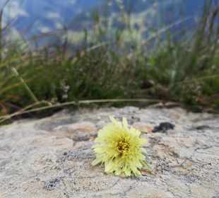 Wandern Kramsach
