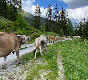 Wandern Verwall St. Anton am Arlberg