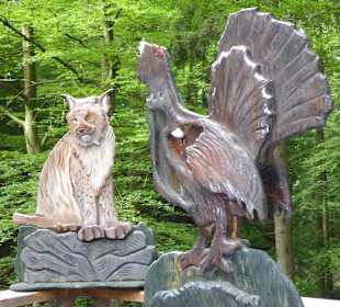 Baumwipfelpfad