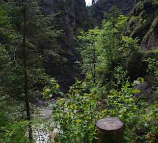 Almbachklamm