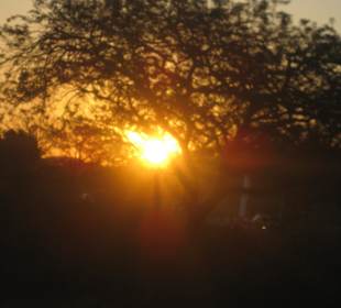 Krüger Nationalpark