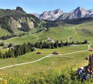 Die Loferer Alm