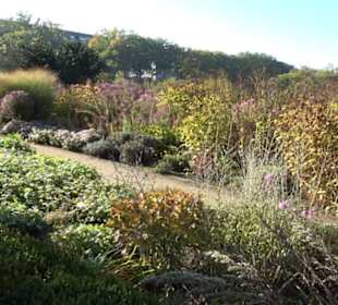 Botanischer Garten