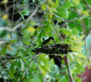 Tierwelt im Nationalpark