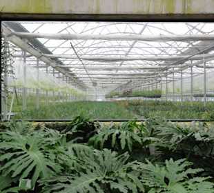 Raffeiner Orchideenwelt