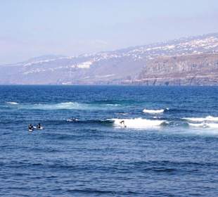 Surfer