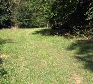 Wacholderheide Sternberg