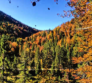 Wandern Kössen