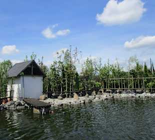 Peterhof-Pflanzen in Hanhofen