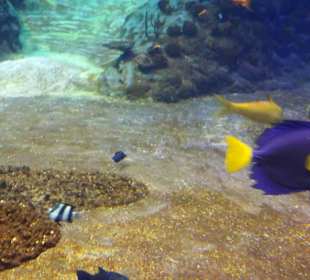 Zoo Wrocław