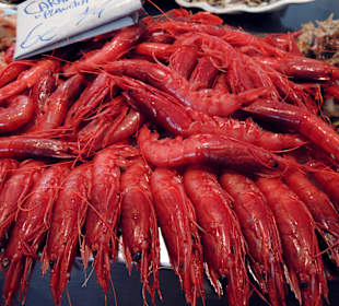 Mercado central, Cadiz