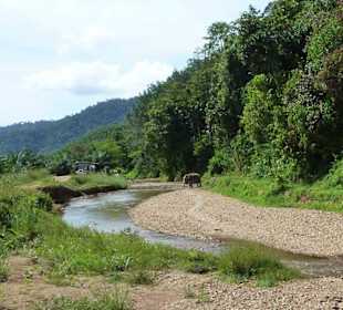 Elefantenreiten im Park