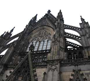 Der Kölner Dom