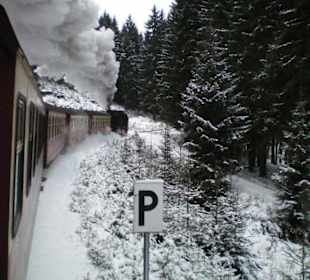 Mit der Schmalspurbahn zum Brocken