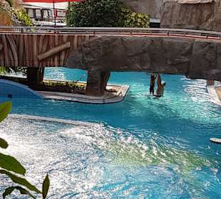 Strömungskanal Teilansicht, Brücke 