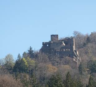 Die Ruine vom Alten Schloss Hohenbaden