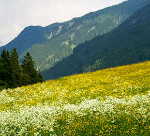 Wandern St. Jakob im Defereggental