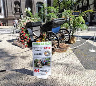 Impressionen vom Blumenfestival in Funchal