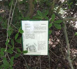 Botanischer Garten