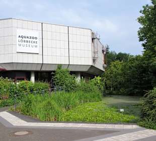 Außenbereich des Aquazoo Löbbecke Museum