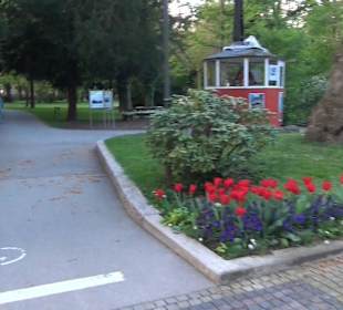 Ortenau Park