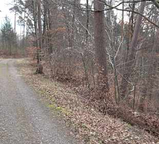 Unterjesinger Wengertwegle