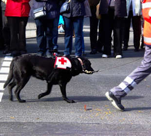 BRK Fürth Fußgrp.3 Festwagen Früher und Heute