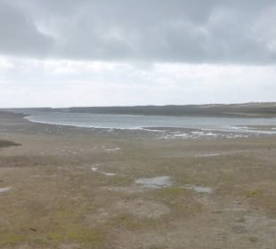 Die Lagune Ria Formosa im Naturschutzgebiet