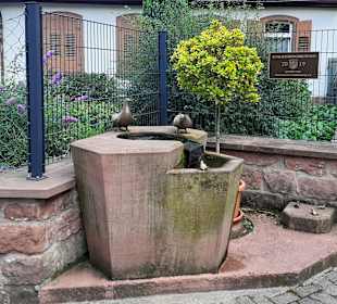 Äbte-Grafen-Herzöge: Rundweg Limburg-Hardenburg