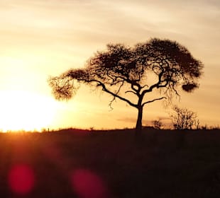 Abensstimmung in den Taita Hills