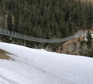 Hängebrücke Holzgau