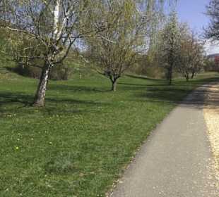 Sport- und Freizeitpark Markwasen