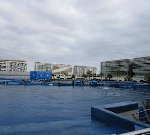 Aquarium / Oceanongrafic