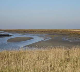 Rundgang durch den Langwarder Groden