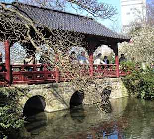 Brücke über den See