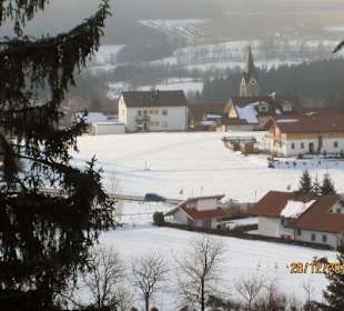 Baumwipfelpfad in Neuschönau
