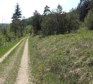 Premiumwanderweg Hochgehschätzt