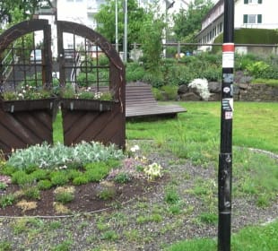 Wanderung rund um den Stadtsee