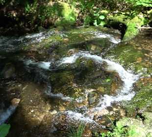 Wasserfälle Allerheiligen