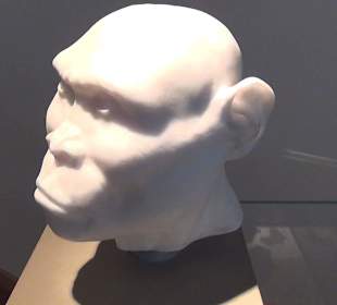 Entwicklung der Menschen