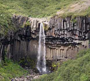 Svartifoss Wasserfall im Skaftafell-Nationalpark
