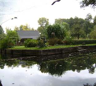 Lübbenau - Natur pur