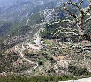 Blick auf die Finca Es Verger