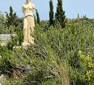 Botanischer Garten 