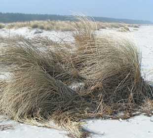 Am Strand