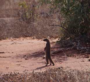 Stehend sieht man besser