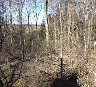 Burgruine Hohenstein