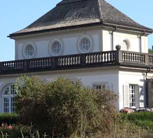 Botanischer Garten München