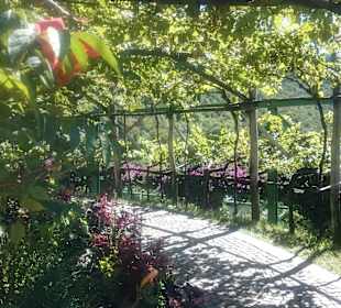 Ein Weg im Schlossgarten