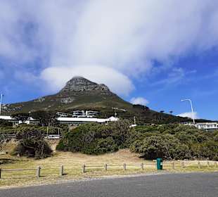 Lions Head